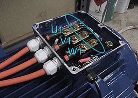 why is a motor junction box called a peckerhead|motor peckerhead.